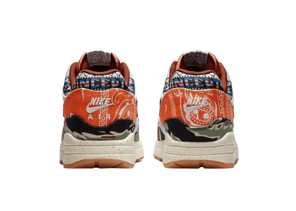 Nike Air Max 1 SP Concepts Heavy - My Suti