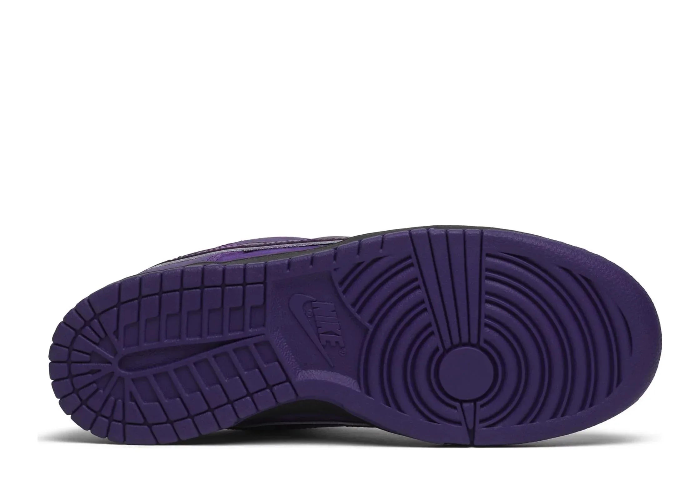 Nike Dunk Low Concepts Purple Lobster - My Suti