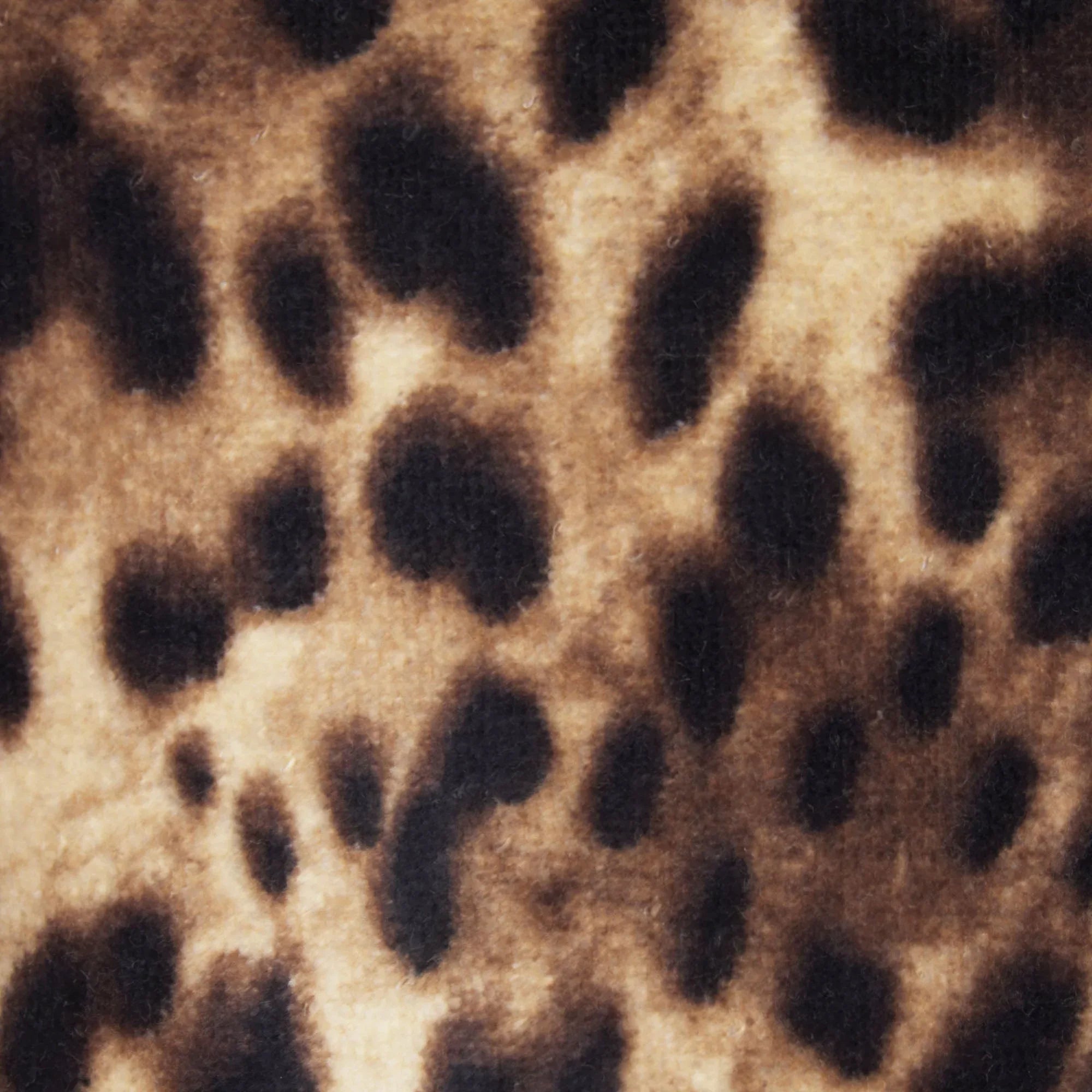 SKIMS DOLCE&GABBANA X SILK TERRY ROBE | LEOPARD - ROBE - My Suti