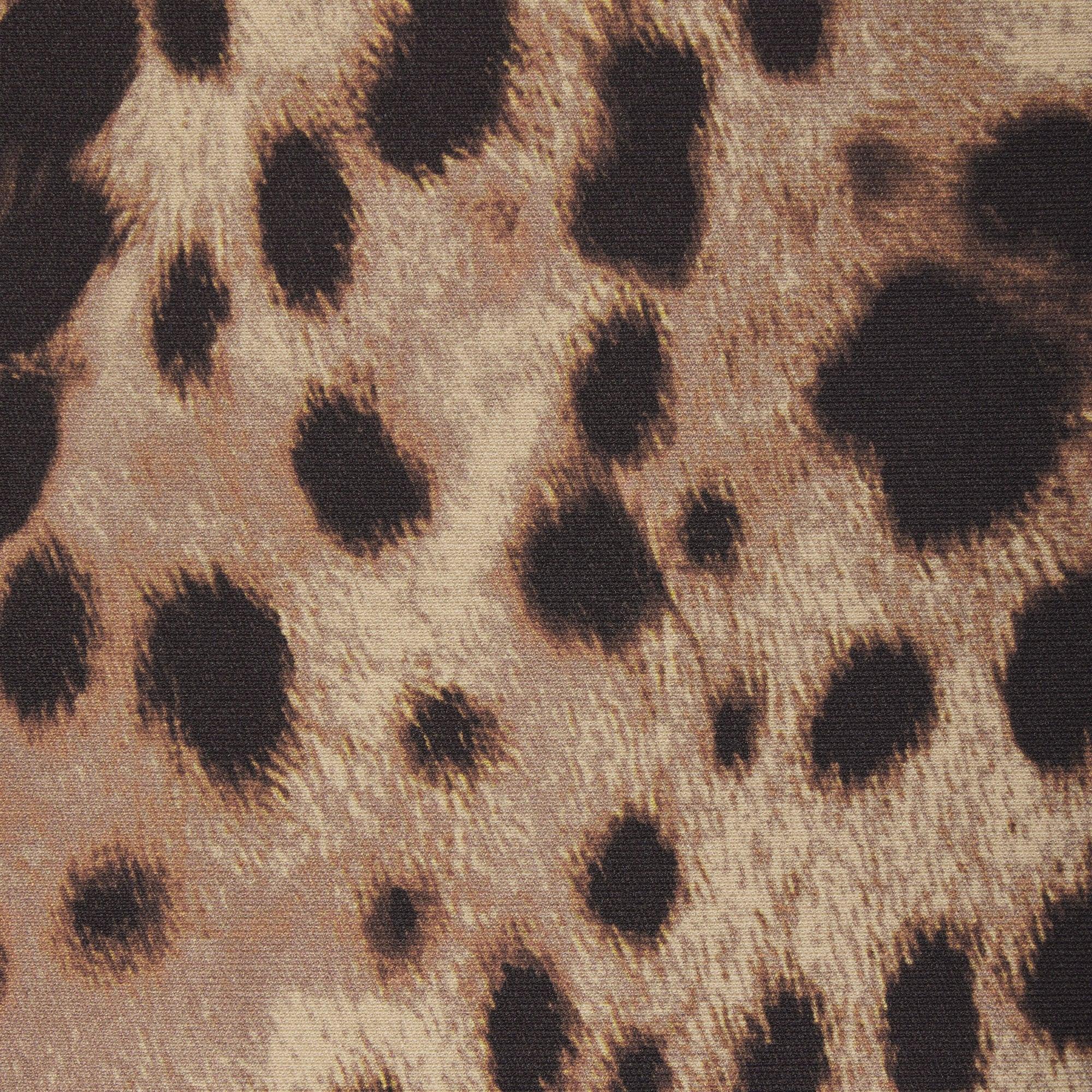 SKIMS DOLCE&GABBANA X SKIMS BODY CAPRI | LEOPARD - TAYT - My Suti