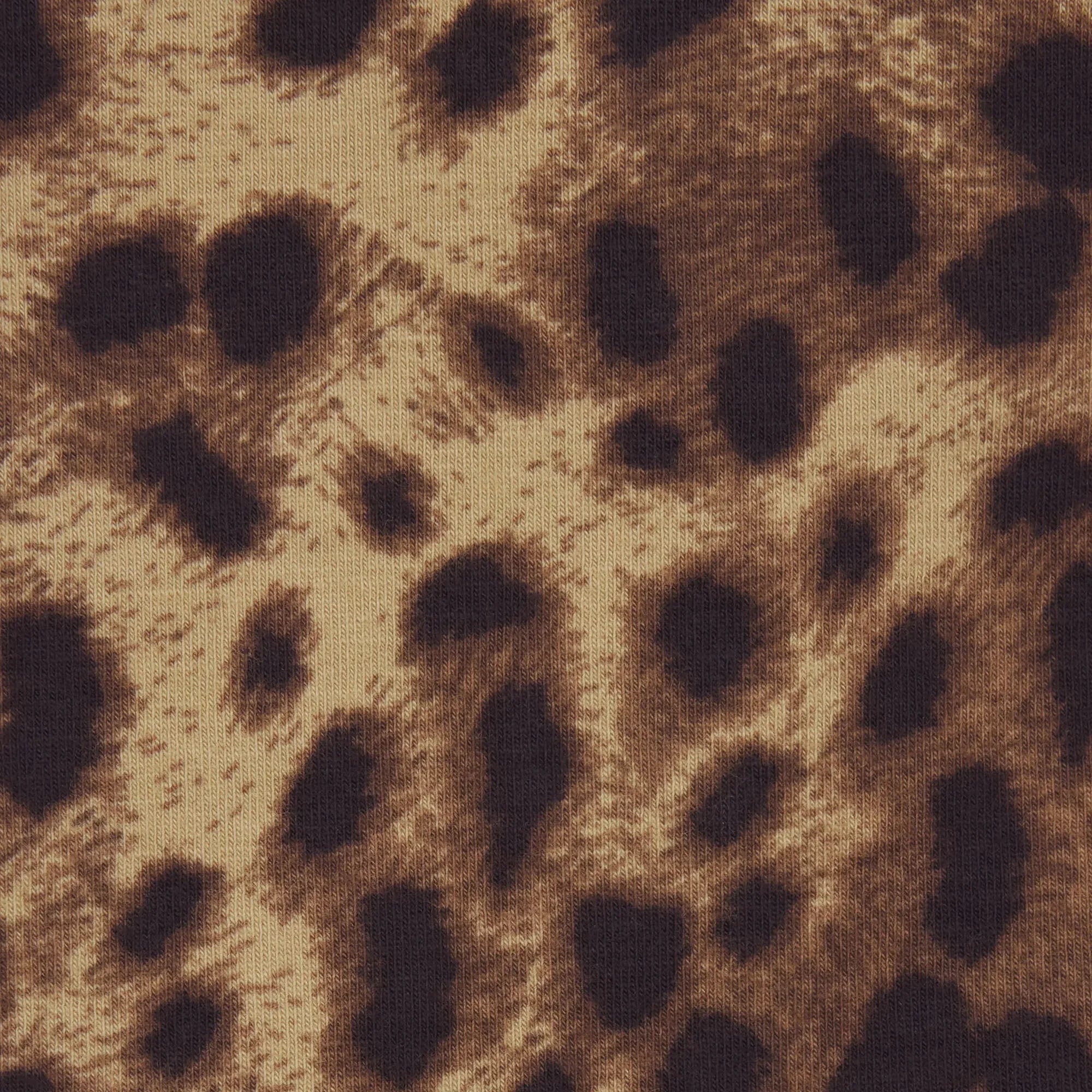 SKIMS DOLCE&GABBANA X COTTON JERSEY DIPPED THONG 3-PACK | LEOPARD MULTI - TANGA - My Suti