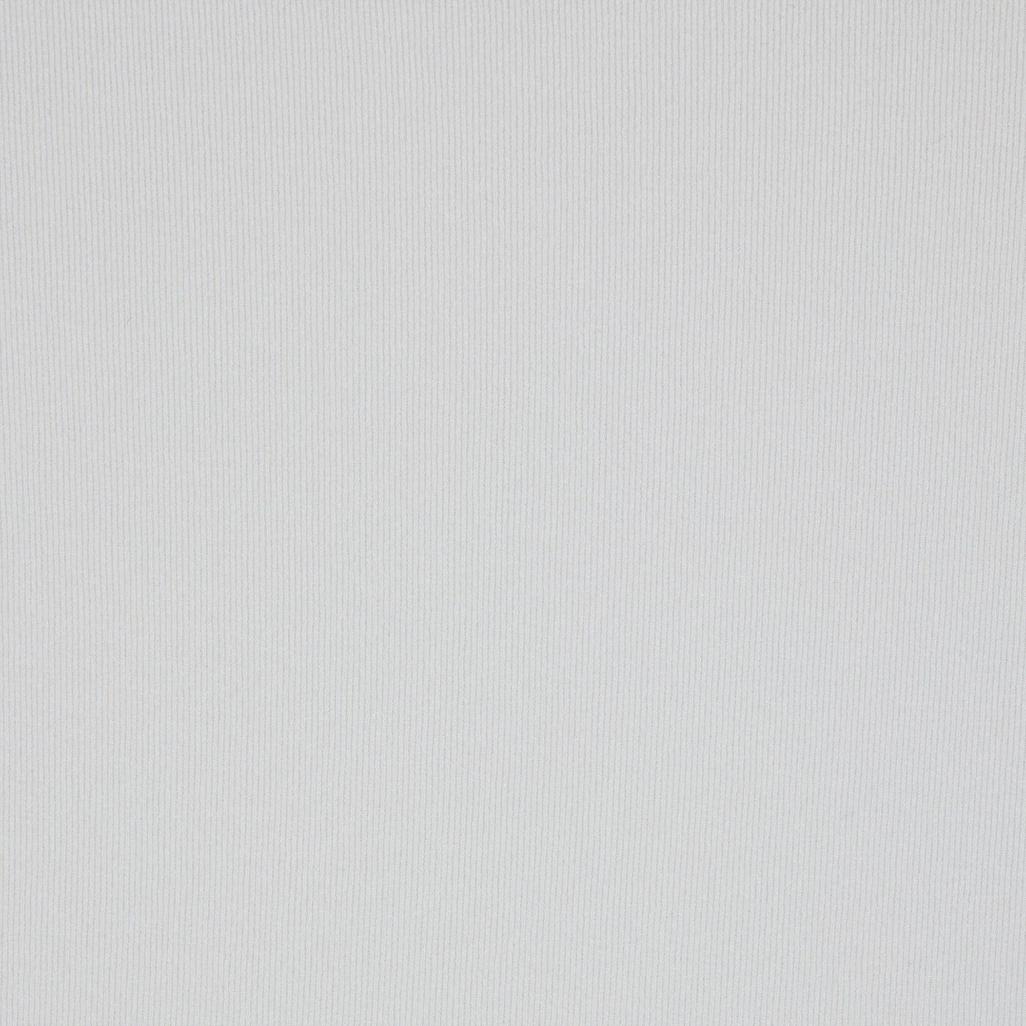 SKIMS FITS EVERYBODY CONTRAST TRIM CHEEKY BRIEF | PLATINUM - KÜLOT - My Suti