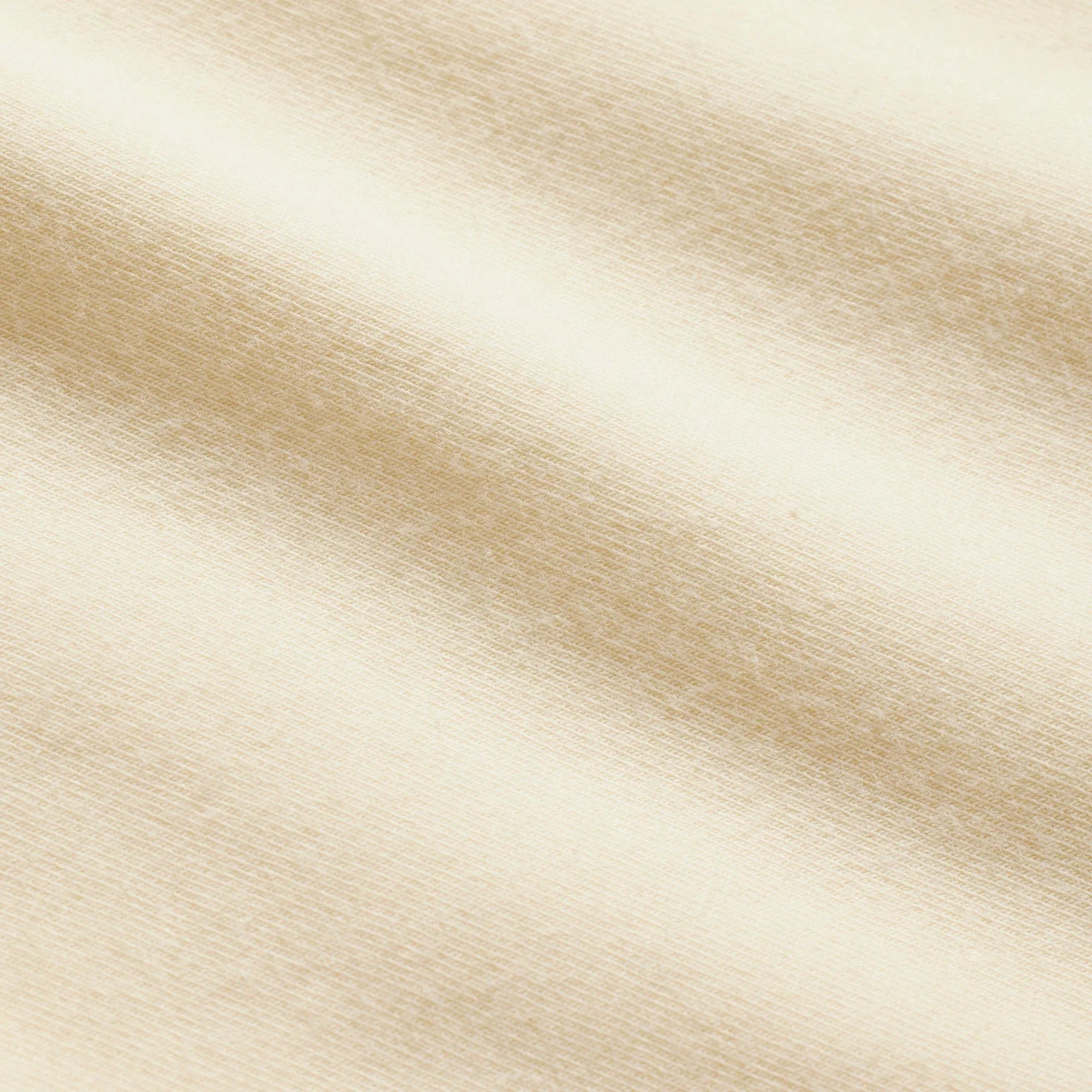 SKIMS COTTON JERSEY LACE BRIEF | BUTTER - KÜLOT - My Suti