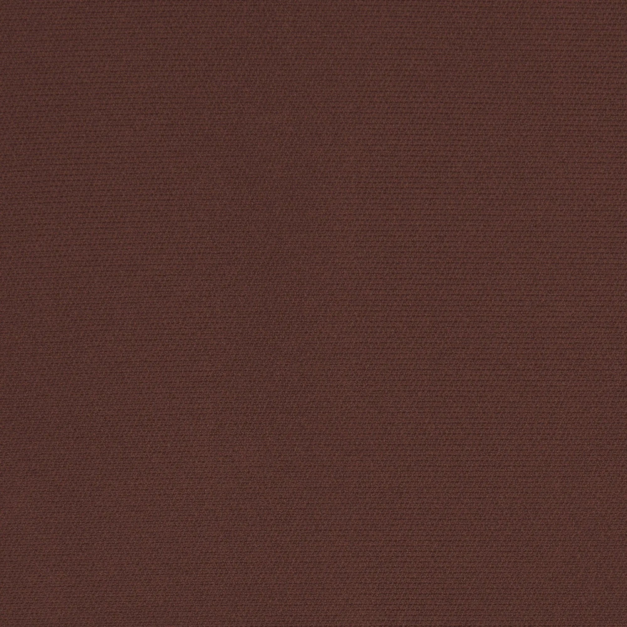 SKIMS BODY CORE SCULPT HIGH-WAISTED THONG | COCOA - TANGA - My Suti