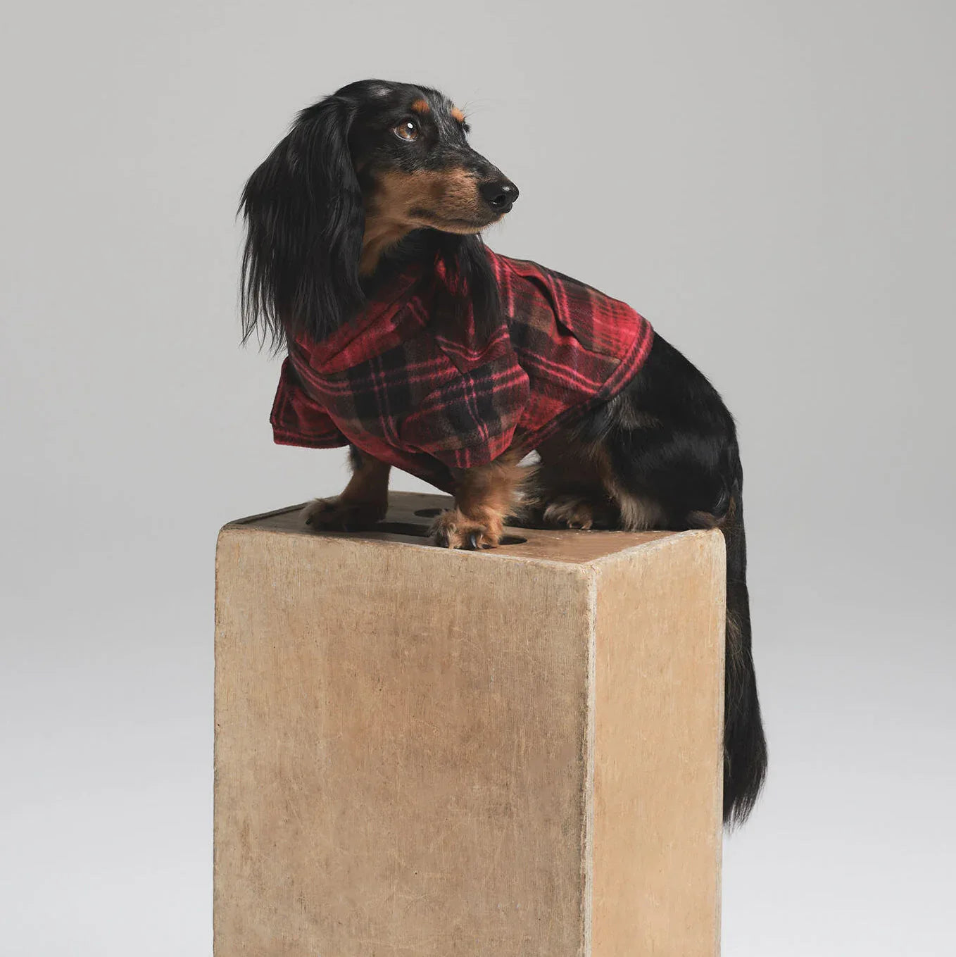 SKIMS FLEECE SLEEP PET HOODIE | CRANBERRY PLAID - KAPŞONLU SWEATSHIRT - My Suti