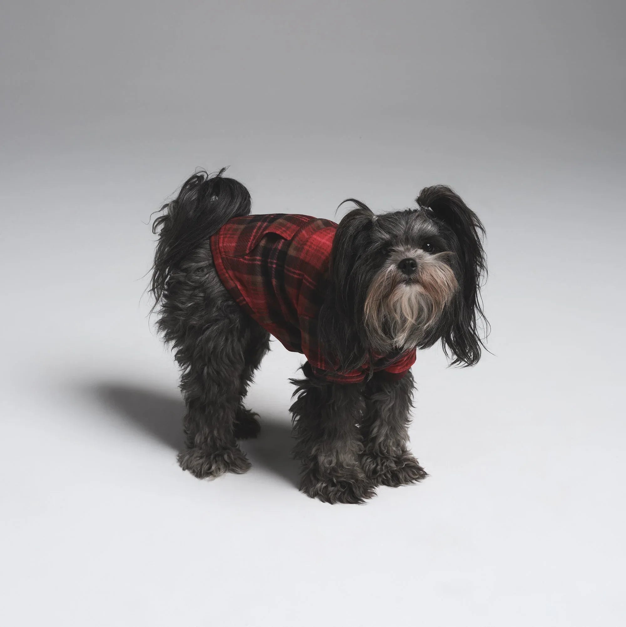 SKIMS FLEECE SLEEP PET HOODIE | CRANBERRY PLAID - KAPŞONLU SWEATSHIRT - My Suti