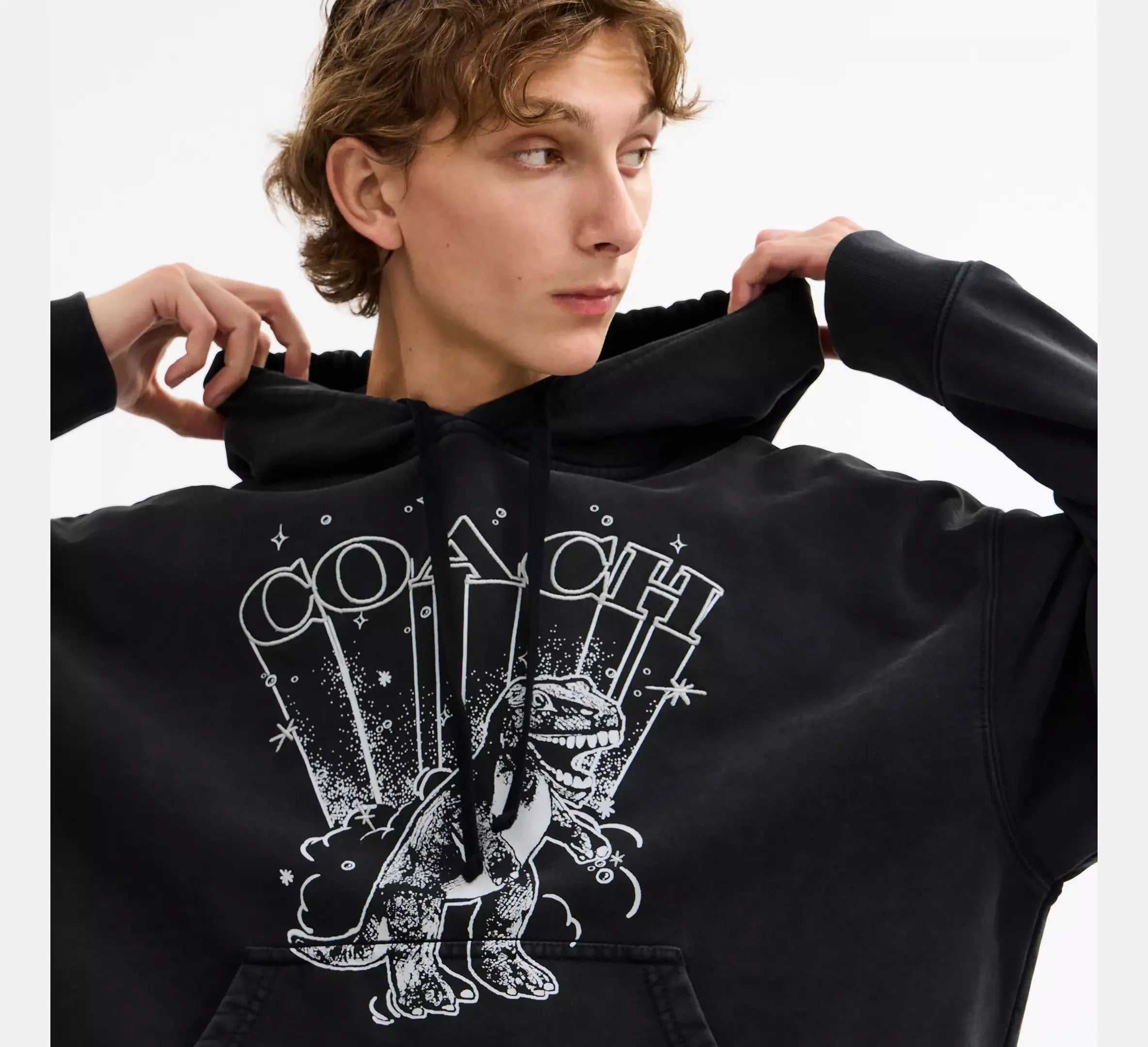 Coach T-Rex Hoodie - Washed Black - My Suti