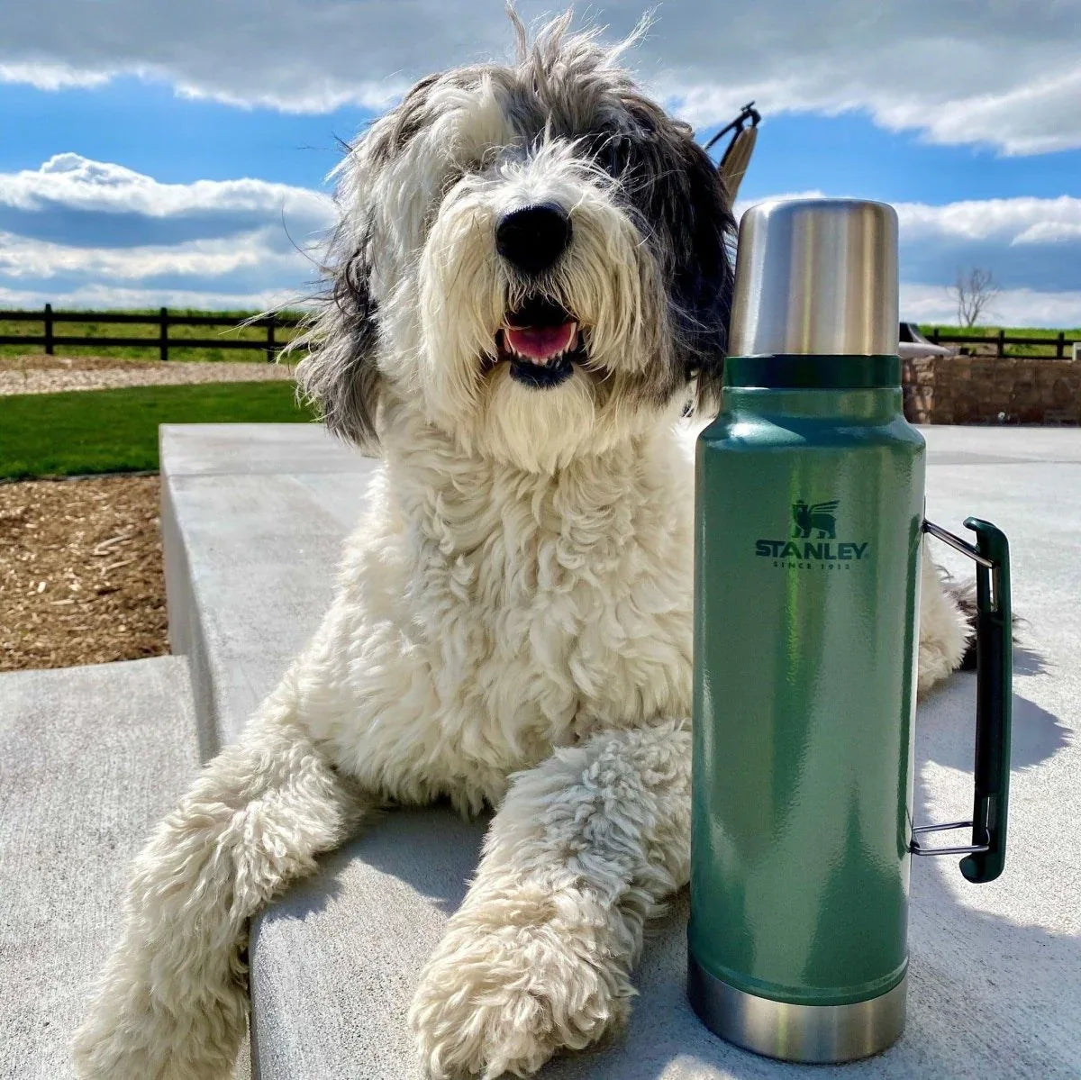 Stanley Classic Legendary Thermos 1L - My Suti