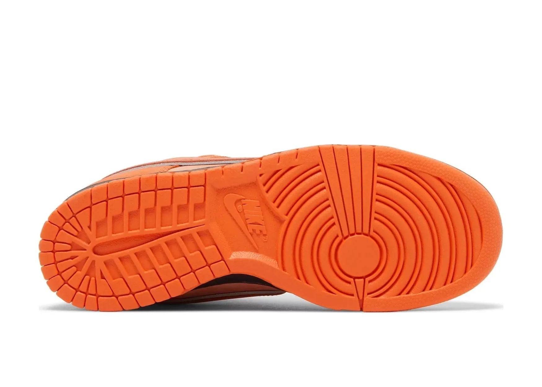 Nike Dunk Low Concepts Orange Lobster (Special Box) - My Suti