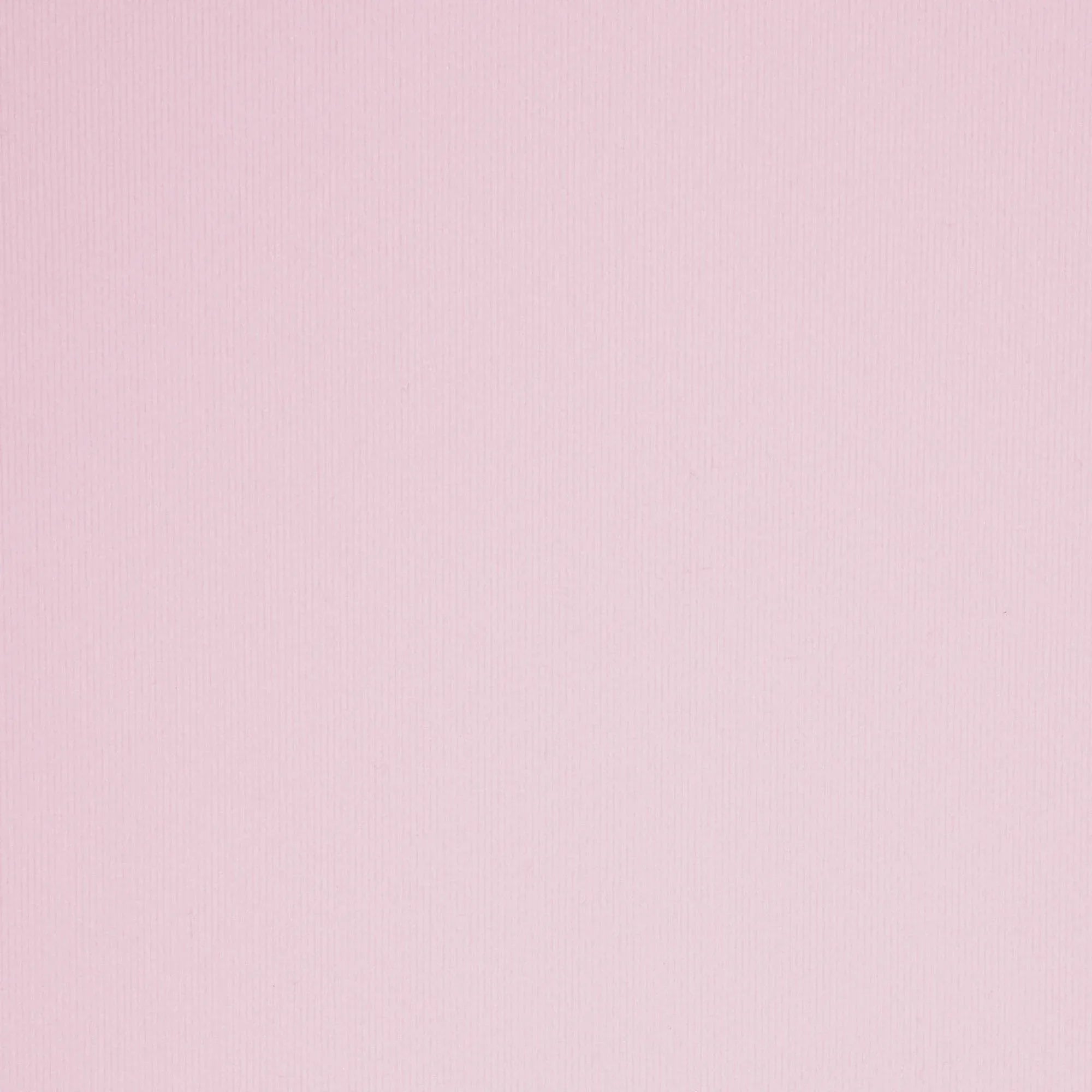 SKIMS FITS EVERYBODY PICOT SKIMPY SCOOP BRALETTE | CHERRY BLOSSOM TONAL - SÜTYEN - My Suti