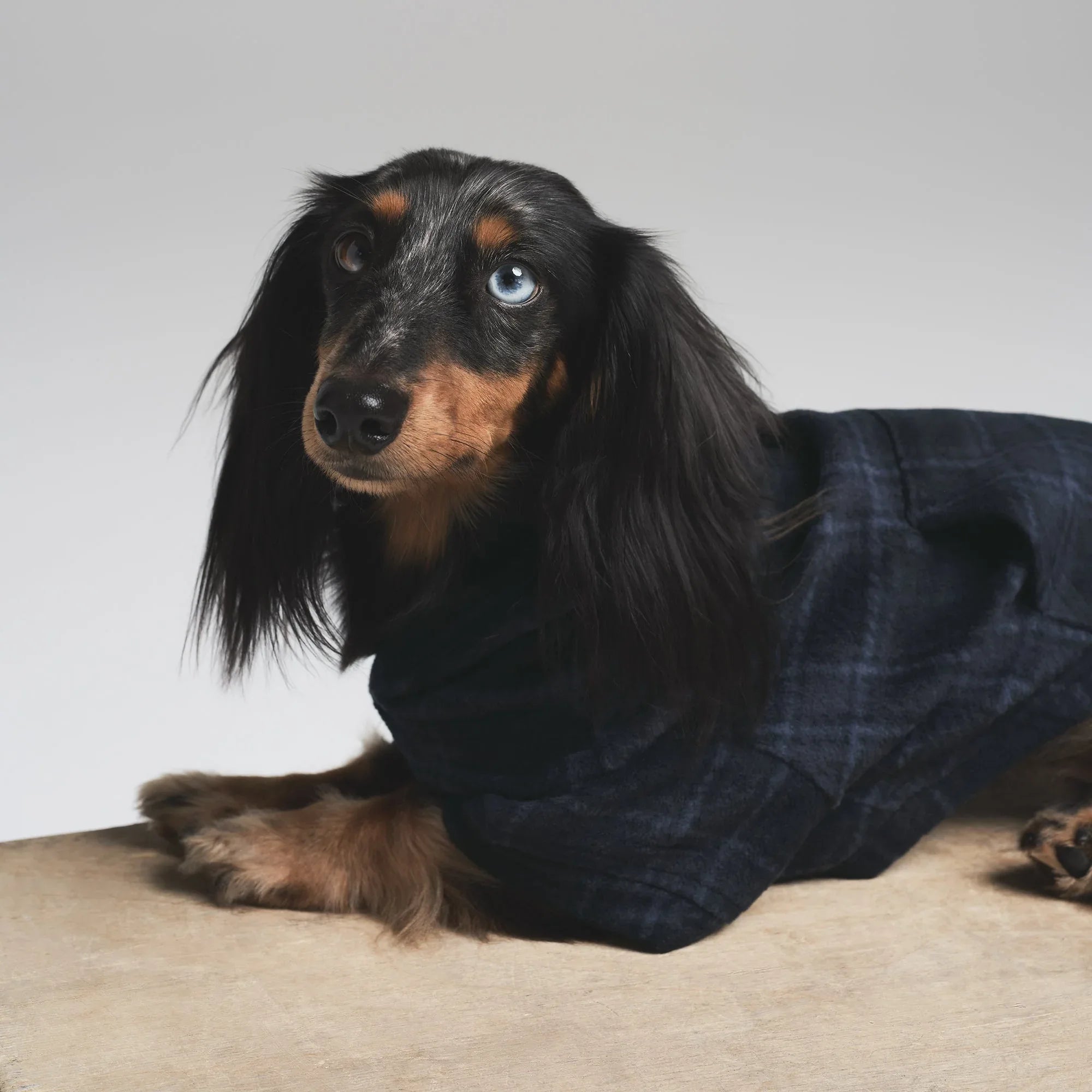SKIMS FLEECE SLEEP PET HOODIE | MIDNIGHT BLUE PLAID - KAPŞONLU HIRKA - My Suti