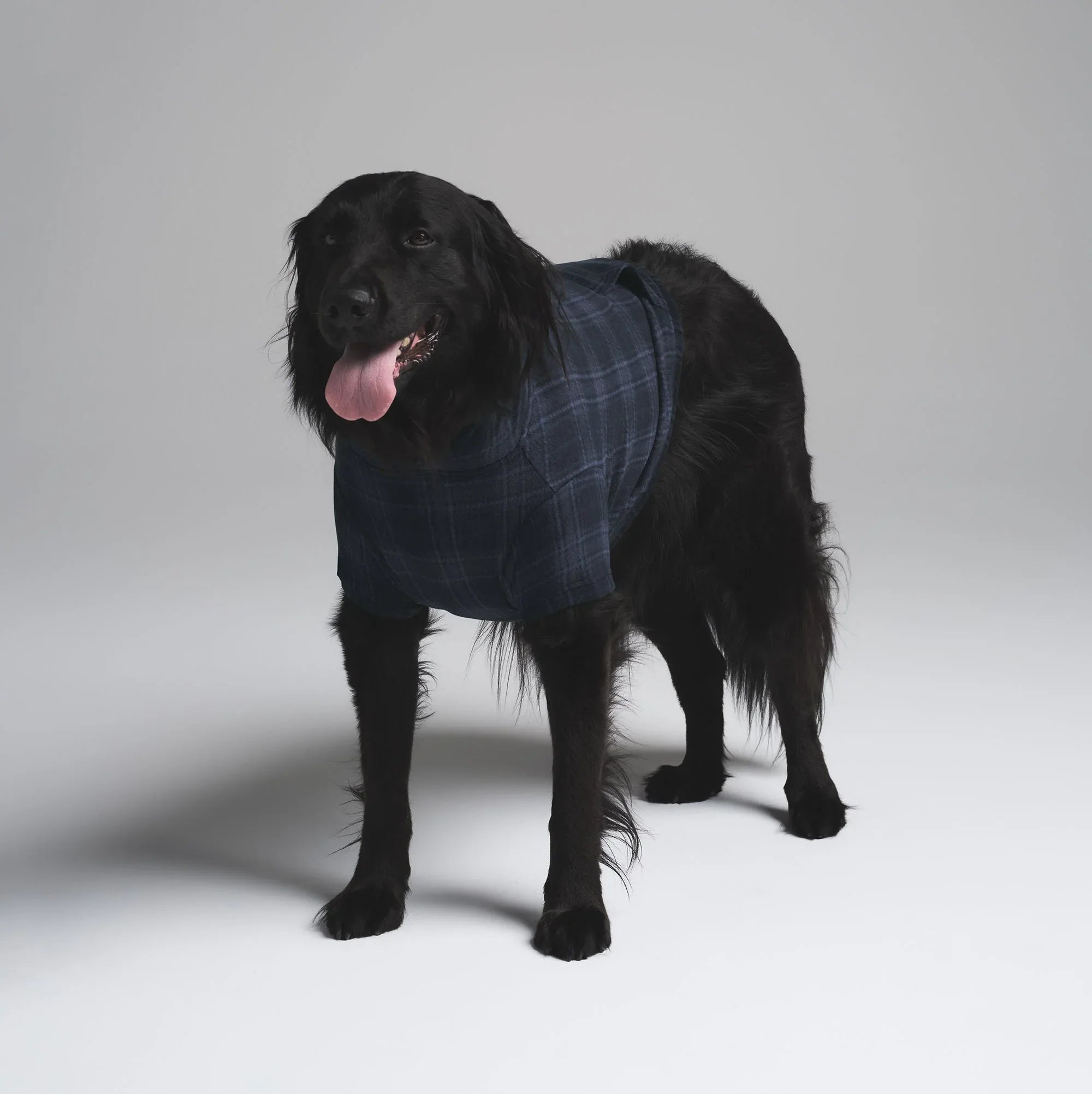 SKIMS FLEECE SLEEP PET HOODIE | MIDNIGHT BLUE PLAID - KAPŞONLU HIRKA - My Suti