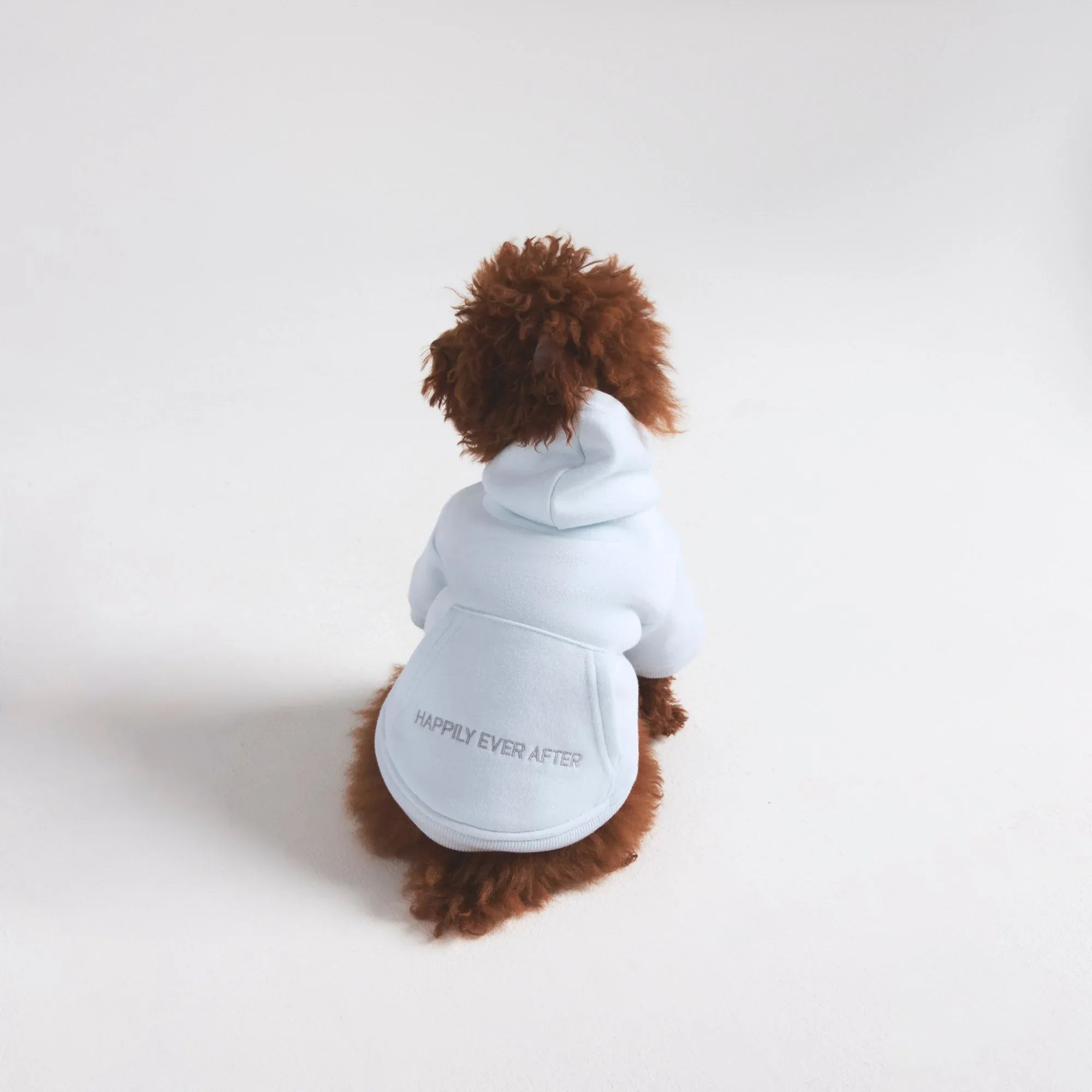 SKIMS COTTON FLEECE PET HOODIE | CLOUD - KAPŞONLU ÜST - My Suti