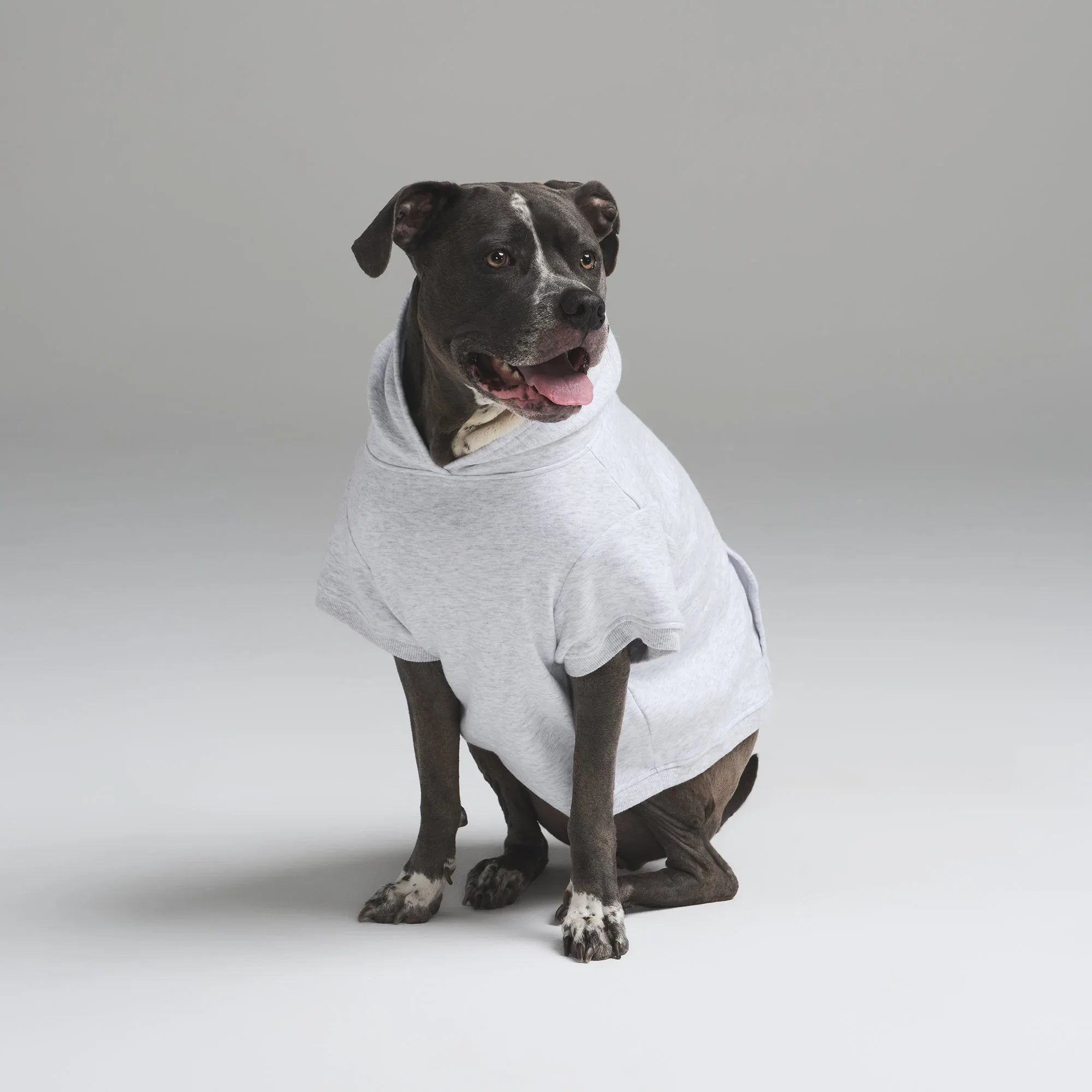 SKIMS COTTON FLEECE PET HOODIE | LIGHT HEATHER GREY - HIRKA - My Suti